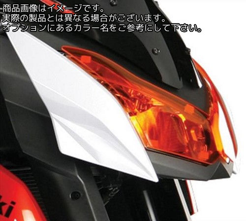 Powerbronze / パワーブロンズ ヘッドライト プロテクター KAWASAKI Z1000 10-11 ダーク ティント | 440-K483-002