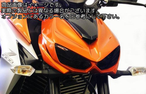 Powerbronze / パワーブロンズ ヘッドライトプロテクター ライトティント KAWASAKI Z1000 14-19 Z1000R 17-19 | 440-K524-001
