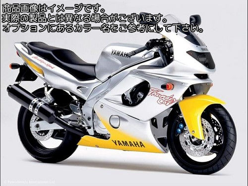 Powerbronze / パワーブロンズ ヘッドライト プロテクター YAMAHA YZF600R T ライト ティント | 440-Y102-001