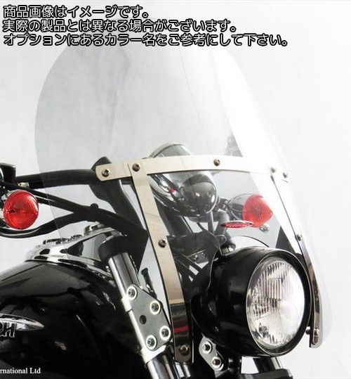 Powerbronze / パワーブロンズ カスタムスクリーン ライトティント SUZUKI LS650 SAVAGE 87-95 COLOSSUS | 470-S106-001