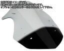 Powerbronze / パワーブロンズ エアフロースクリーン フルオグリーン KAWASAKI Z1000SX 11-16 (NO GRAPHIC) | 400-K127-010