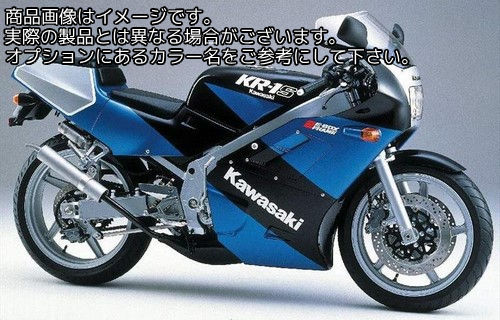 Powerbronze / パワーブロンズ スタンダード スクリーン KAWASAKI KR1 ダーク ティント | 410-K102-002