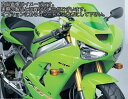 Powerbronze / パワーブロンズ スタンダードスクリーン フロストステルスグレー KAWASAKI ZX6-R 03-04 | 410-K120-019