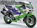 Powerbronze / パワーブロンズ スタンダード スクリーン KAWASAKI ZX9-R B1-B4 94-97 ダーク ティント | 410-K132-002
