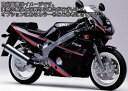 Powerbronze / パワーブロンズ スタンダード スクリーン YAMAHA FZR600R 91-93 ダーク ティント | 410-Y111-002(2)