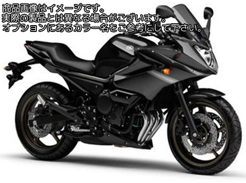 Powerbronze / パワーブロンズ スタンダード スクリーン YAMAHA XJ6 DIVERSION 09-11 ライト ティント | 410-Y158-001