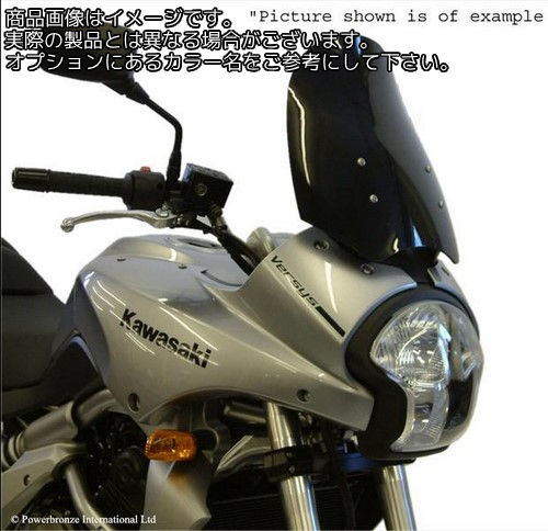 Powerbronze / パワーブロンズ フリップスクリーン フロストサファイヤ ブルー KAWASAKI ZXR750 93-96 | 420-K120-018