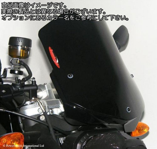 Powerbronze / パワーブロンズ ライト スクリーン BMW F800R 09-11 ライト ティント | 430-U138-001