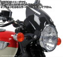Powerbronze / パワーブロンズ ライトスクリーン ホワイト TRIUMPH BONNEVILLE T100 08-19 BONNEVILLE T120 17-19 (210 MM) | 430-U217-004(2)