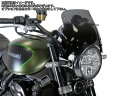 Powerbronze / パワーブロンズ ライトスクリーン ブルー KAWASAKI Z900RS 18-19 (225 MM) | 430-U244-008(2)