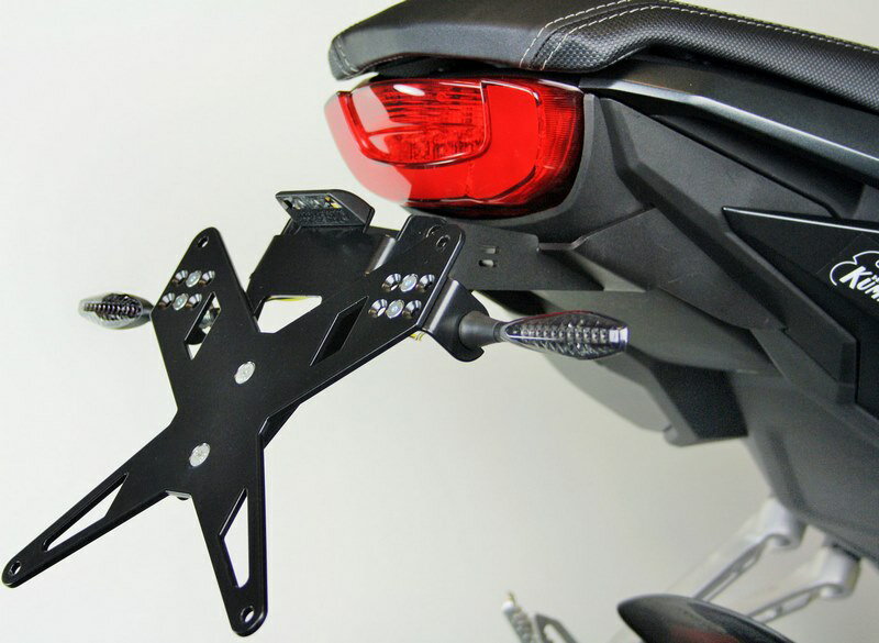 Protech / プロテック ナンバープレートホルダー kit including reflector and plate light - ブラック | 7210084