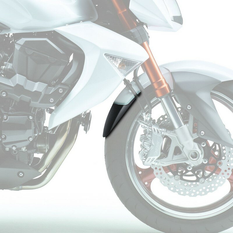 Pyramid Plastics / ピラミッドプラスチック Kawasaki Z 1000 エクステンダーフェンダー マットブラック