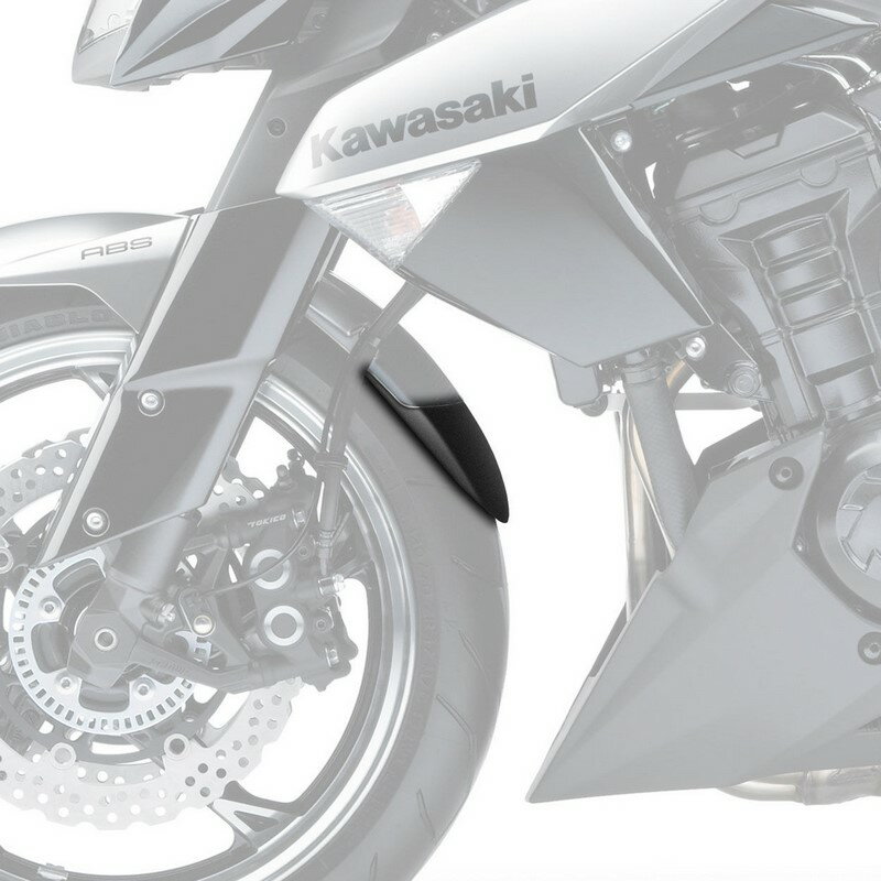 Pyramid Plastics / ピラミッドプラスチック Kawasaki Z 1000 エクステンダーフェンダー マットブラック