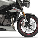 Pyramid Plastics / ピラミッドプラスチック Triumph Street Triple 765 エクステンダーフェンダー マット