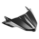 Pyramid Plastics / ピラミッドプラスチック フライスクリーン Dark Side Yamaha MT-09 2017- | 22142D