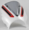 Pyramid フライスクリーン Crystal White Scheme | Triumph Trident 660 2021- | 26660D(2)
