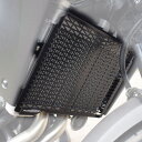 Pyramid Plastics / ピラミッドプラスチック Triumph Street Triple 675 R ラジエーターガード マットブラック