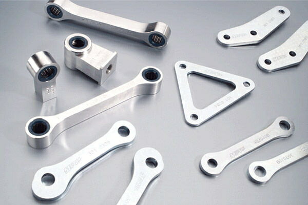 Remus / レムス MIZU tail lowering kit- EEC | 3020208