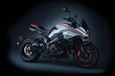 Suzuki / スズキ グラフィック セット レッド Style 1 | 990D0-07L02-レッド