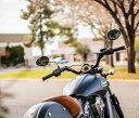 TRASK HANDLEBARS V-L IND SCT BK | TM-2025BK