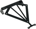 TRW LICENSE PLATE HOLDER | MSH310