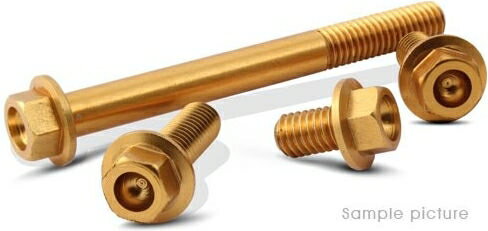 Valtermoto / バルターモト フランジヘッドボルト ?12 M6 L60 ゴールド | VMC036 60 S 03