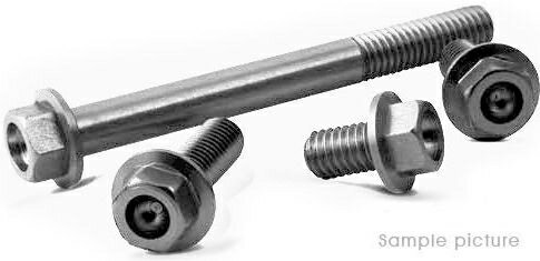 Valtermoto / バルターモト フランジヘッドボルト ?12 M6 L95 シルバー | VMC036 95 S 01