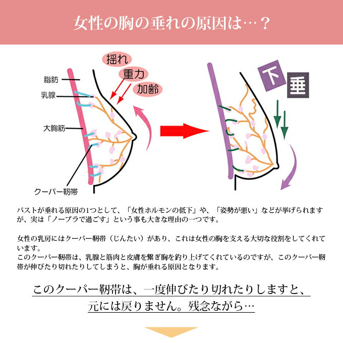 【 訳あり品 】【 アウトレット 】SUBROSA(サブローザ)×エアーかおる ナイトブラ インナー フリーブラ ブラジャー 浅野撚糸 チラ見え 防止 下着 レディース 女性 肌着 パイル クーパー靭帯 バストケア 大きいサイズ 単品 日本製 ナイトブラジャー 送料無料 育乳 卒乳 訳あり