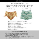 水分ケアショーツ 失禁ショーツ 15cc対応 スタンダード丈 1分丈 下着 レディース 女性用 パンツ おしゃれ レース ショーツ マタニティ 単品 ハイウエスト セクシー 大きいサイズ M L LL インナー 日本製 臭い 抗菌 消臭 水分ケア 吸水 ムレ ムレにくい 漏れにくい 【mail】 2