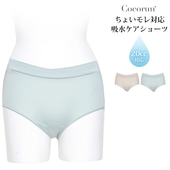 ちょいモレ 対応 吸水 ケアショーツ 20ml スタンダード 普段使い ケア シンプル 無地 ショー