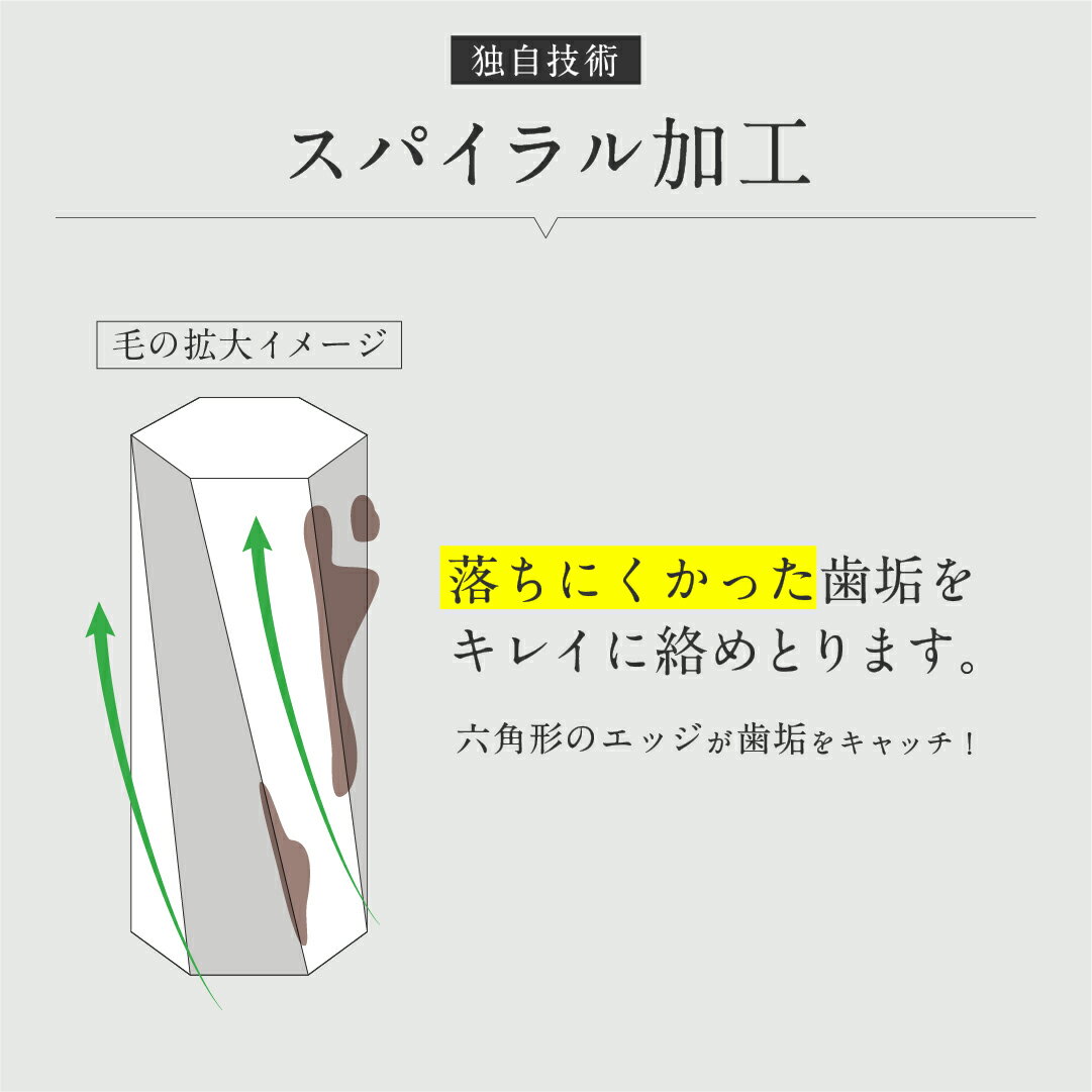 【送料無料】<期間限定ポイント10倍> 歯科医...の紹介画像3