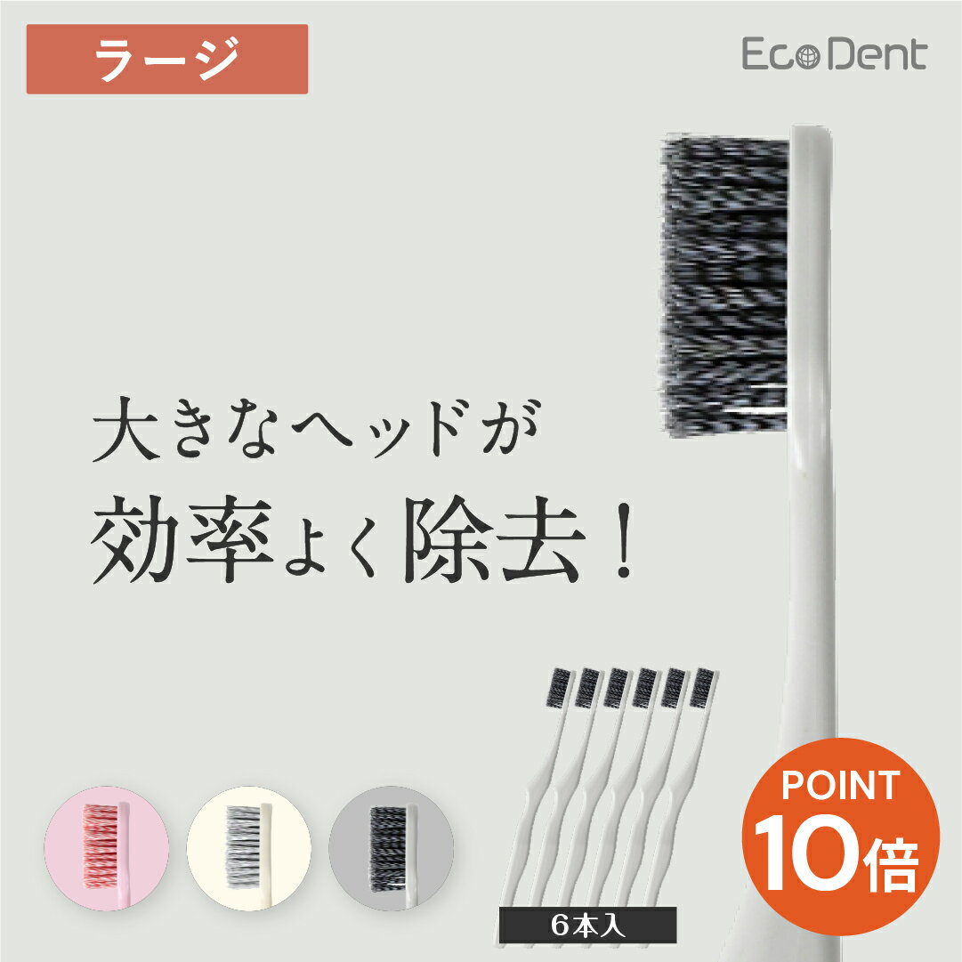 【送料無料】＜期間限定ポイント10倍＞ 歯科医師推奨！ EcoDent 歯ブラシ 6本セット（ヘッドサイズ：ラージ・毛の硬さ：ふつう） 抗菌仕様! 極細毛とフラットのツイン植毛｜抗菌金属イオン｜無機系抗菌剤バクテキラー添加｜スパイラル加工