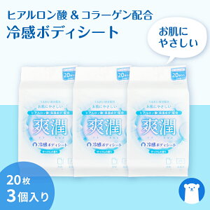 ＜期間限定ポイント10倍＞【1,000円ポッキリ】ヒアルロン酸＆コラーゲン配合 汗拭きシート　爽潤（20枚×3袋入り）肌体感 -2℃　全身拭きやすい 大判サイズ　制汗シート　ボディ　汗ふき　汗拭き　せっけん