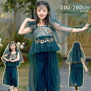 子供 ダンス衣装 ハロウィン衣装 女の子 プリンセス お姫様 コスチューム 子供 コスプレ ステージ衣装 パーティードレス 上下 キッズ コスチューム ハロウィン仮装 ハロウィーン イベント なりきり