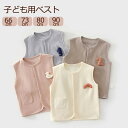 ベビーベスト 赤ちゃん オールシーズン 春 夏 秋 冬 出産祝い 新生児 体温調整 キッズ トップス コットン 子供服 女の子 男の子 可愛い 保育園 幼稚園 66cm 73cm 80cm 90cm