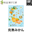 国産ドライフルーツ 完熟みかん 無着色・無香料 南信州菓子工房  4582400146312