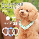 【トルコドッグスプレー特典付】【SUO】 SSサイズ RING for dogs star 28°ICE ボタン付 スオ 28度 アイス クール リング クール バント 植物由来 ネック用 アイスリング 首掛け ネック クーラ 熱中症予防 室内 ペット 犬 無くし防止 暑さ対策 クールリング