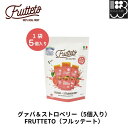 FRUTTETO グァバ&ストロベリー(5個入り) フルッテート アイスキャンディー FRUTTETO04 1袋5個入り ゆうパケット専用 コンビニ受取不可