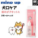 歯みがきキットA 犬口ケア マインドアップ mind up 液状はみがき 歯ブラシ スモールヘッド メール便可 ゆうパケット可 コンビニ受取不可|詳細画像