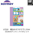 U752V 先生おすすめ 魔法のザラザラ下じきA4(0.3mmドット)バイオレット (violet) レイメイ藤井 Raymay スタディメイト