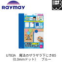 U783A 先生おすすめ 魔法のザラザラ下じきB5(0.3mmドット) ブルー (blue) レイメイ藤井 Raymay スタディメイト