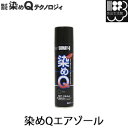 染めQエアゾール 264ml スプレー 染めQテクノロジィ【コンビニ受取対応商品】