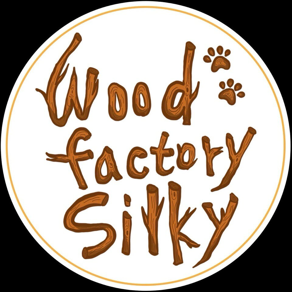 Shop icon