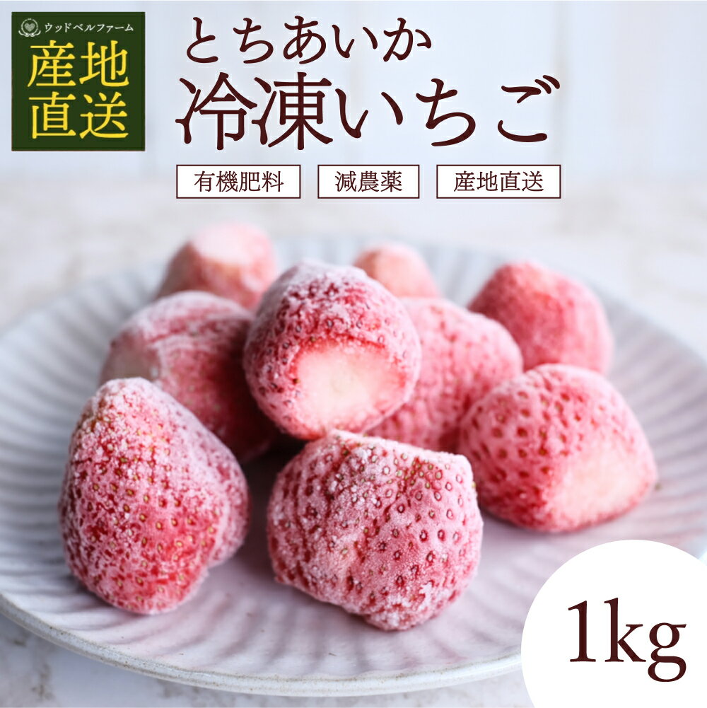 とちあいか 冷凍いちご 1kg 国産 冷凍イチゴ 冷凍ストロベリー 栃木 いちご 苺 イチゴ 糖度 甘い itigo 冷凍 栃木県産とちあいか 美味しい イチゴギフト ストロベリー 農家 直送 産地直送 栃木県 冷凍フルーツ フルーツ 果物 家庭用 好き 母の日 プレゼント ギフト 贈答