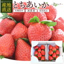 いちご いちご とちあいか 2パック 苺 イチゴ 栃木県産とちあいか itigo 糖度 甘い 甘く て 美味しい おいしい 苺ギフト 高級 果物 フルーツ くだもの 母の日 フルーツギフト 栃木 栃木県 栃木県産 農家 直送 配達 お祝い 内祝い 贈答 贈答用 好き プレゼント ギフト 贈り物