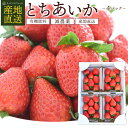 いちご とちあいか 4パック 栃木県産 苺 イチゴ とちあいか 高級いちご 糖度 甘い itigo 甘い苺 美味しい おいしい 苺ギフト 果物 フルーツ くだもの 母の日 お祝い 高級イチゴ 家庭用 自宅用 栃木 栃木県 贈答 贈答用 贈答品 フルーツギフト 産地直送 プレゼント ギフト