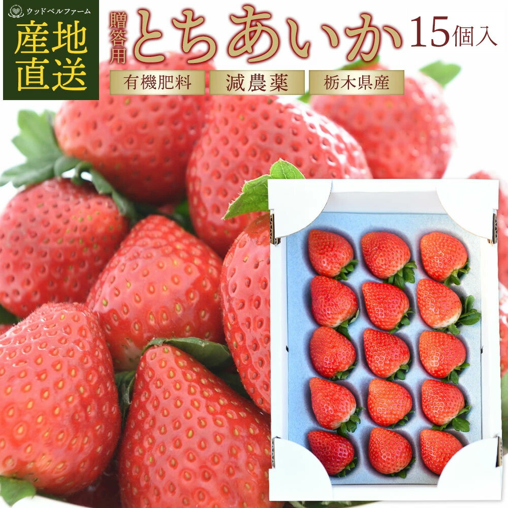 いちご とちあいか 贈答用 350g 15個入り 1パック 栃木県産とちあいか 苺 イチゴ 糖度 甘い 高級イチゴ 苺ギフト 高級 果物 フルーツ ホワイトデー 栃木県産 栃木県 栃木 農家 直送 産地直送 配達 美味しい お祝い 贈答 贈答品 誕生日プレゼント プレゼント ギフト 贈り物