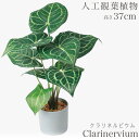 人工観葉植物 観葉植物 造花 フェイク フェイクグリーン 卓上 ミニ リビング デスク グリーン 緑 ミニ観葉 水やり不要 お手入れ不要 インテリア カフェ 玄関 キッチン おしゃれ アレンジ クラリネルビウムセメントポット 高さ37cm 37cm