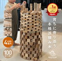 そだちの積み木 なかよしライブラリー 木のおもちゃ