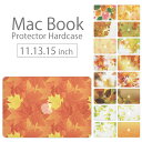 【 MacBook Pro & Air 】【メール便不可】 デザイン シェルカバー シェルケース macbook pro 16 15 13 ケース air 11 13 retina display マックブック 木の葉 落ち葉 秋 もみじ 紅葉 綺麗 色彩 大自然 風景 デザイン